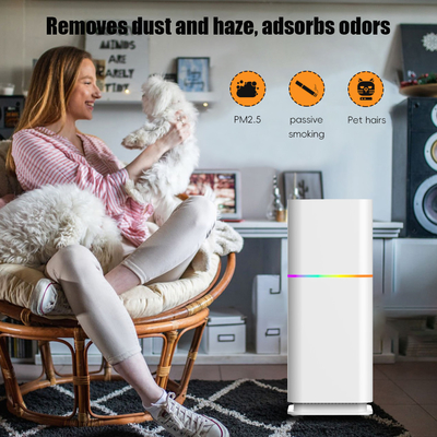 Good price ODM HEPA Очиститель пыли для помещений Очиститель воздуха для жилых помещений 240В для PM2.5 онлайн